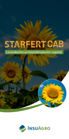 Cab